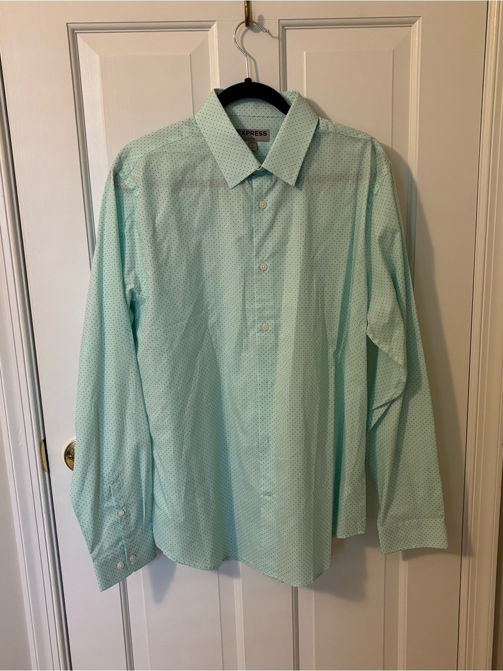 Express Mint Green Microdot Long-Sleeve Dress Shirt